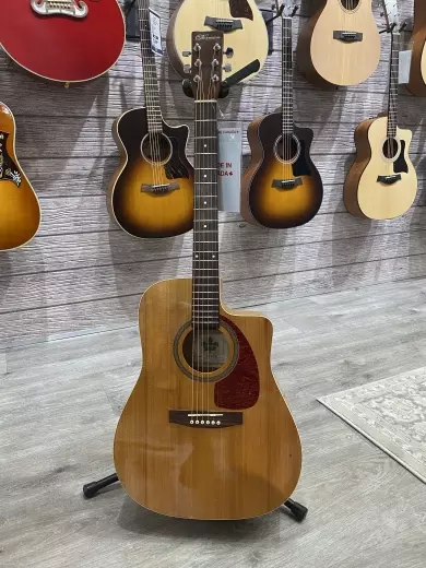Norman Acoustic Guitar